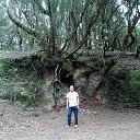  , , 72  -  17  2018    2018.