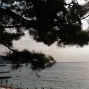  , , 60  -  28  2018   ,  , 2018