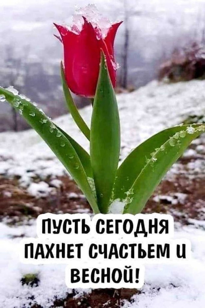   ,    . - 12  2019  00:39 - 2