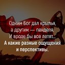 ���� ������, �����-���������, 40 ��� - ��������� 15 ������� 2018 � ������ ���� ����������