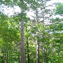  , , 60  -  4  2018   ,  ,04.08.18.