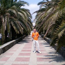 �������, ������ �����, 45 ���