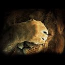 ���� ������, ������, 59 ��� - ��������� 11 ������� 2018 � ������ ���� ����������
