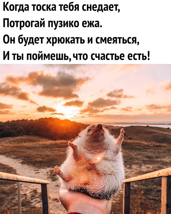  ... - 13  2018  17:31