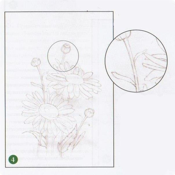  poa poa - 4