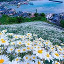  ••,  -  12  2018   