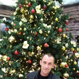 ���� ����, ����, 43 ���� - ��������� 1 ������ 2019