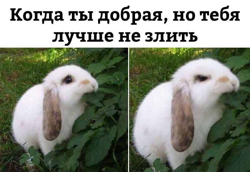 Karina) - 5  2018  11:19