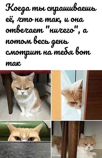����� �������� - 25 ������� 2019 � 17:03