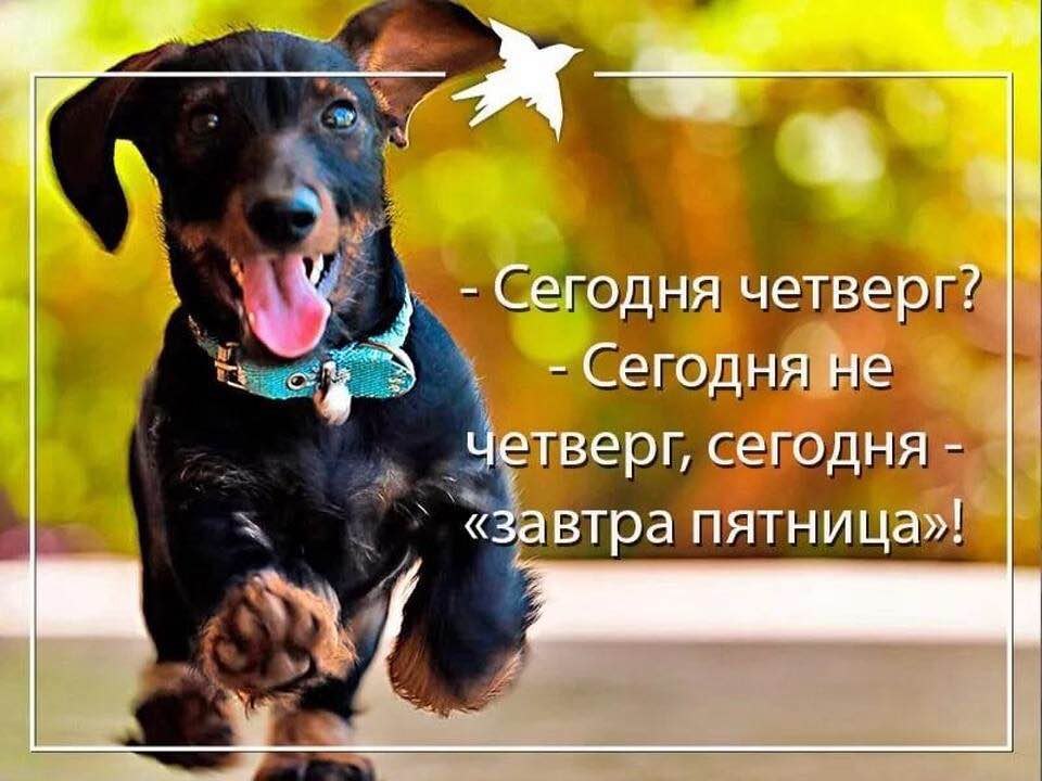  - 6  2018  10:46