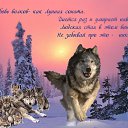 ���� ���������, ������, 48 ��� - ��������� 15 ���� 2018