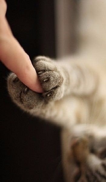 ...  ...  ,  .    .  , 