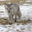 ���� ���������, �����, 53 ���� - ��������� 27 ���� 2018 � ������ ���� ����������