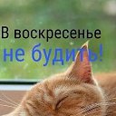 ���� �������, ����� - ��������� 15 ���� 2018 � ������ ������ ��������