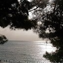  , , 60  -  28  2018   ,  , 2018