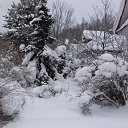 ���� ������, �����-���������, 62 ���� - ��������� 31 ������ 2019 � ������ ���� ����������