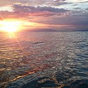 ���� �����, ������ ��������, 41 ��� - ��������� 4 �������� 2018 � ������ ���� ����������