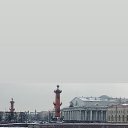 ���� ��������, ����, 55 ��� - ��������� 13 ������� 2019 � ������ ���� ����������