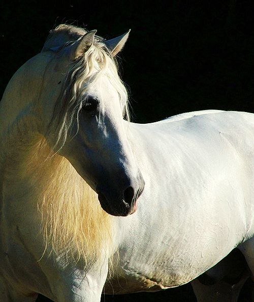  -   ! - 25  2018  16:26