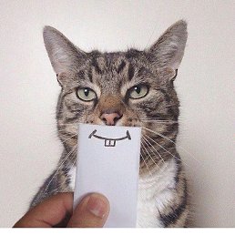 Sadness And Smile, , 40 