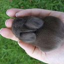 ���� �����, ������ �������� - ��������� 15 ������� 2018 � ������ ������ ��������