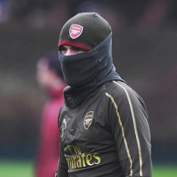 Jovid, �������, 27 ���