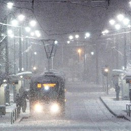 �����, ������, 40 ���