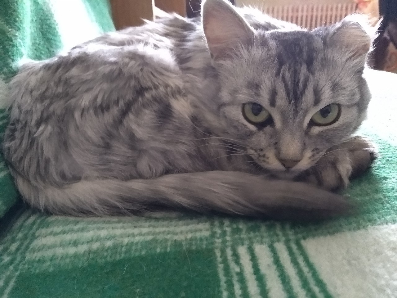 #_.     ,     .     ... - 3