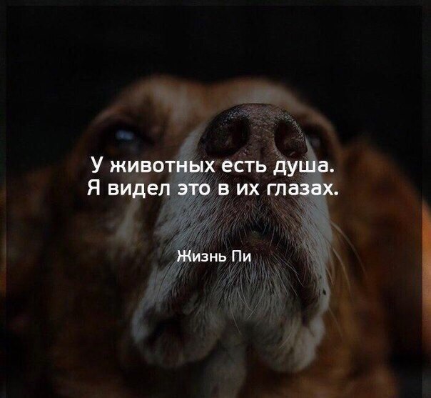     - 24  2019  16:50