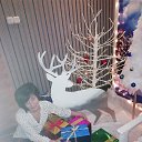 ���� ����� �����, ������ - ��������� 12 ������ 2019 � ������ ���� ����������