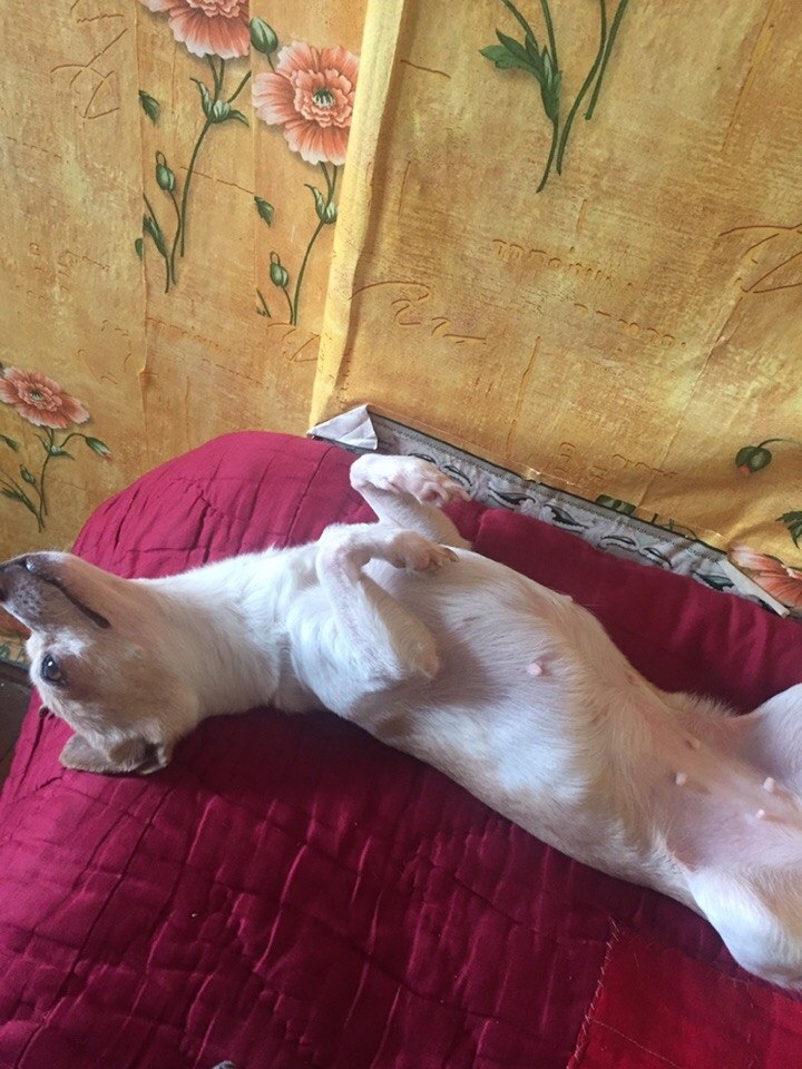 ))))