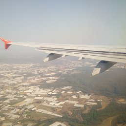 ����, �����, 40 ���