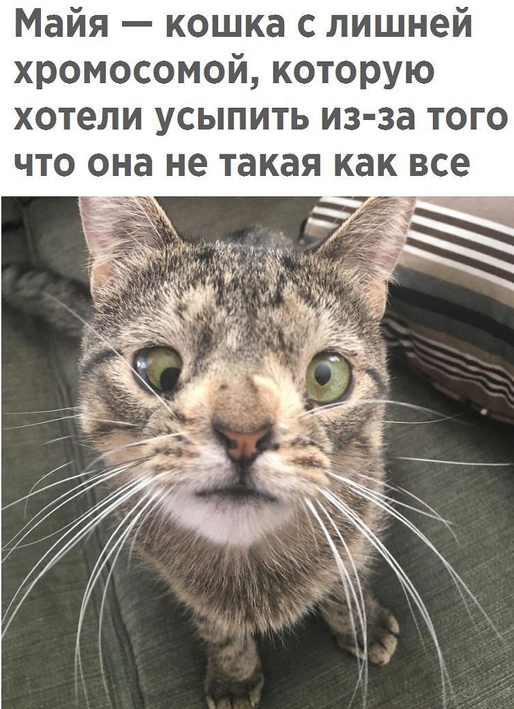  - 27  2018  16:54