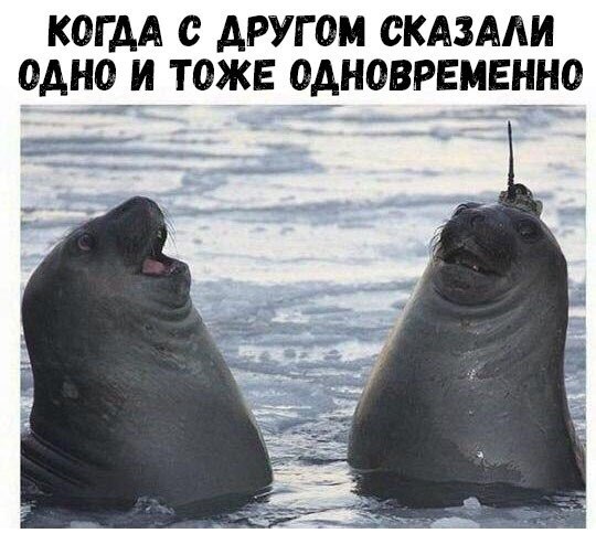    :D - 20  2018  16:22
