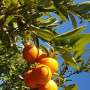 ���� Andrej, ��������, 58 ��� - ��������� 10 ������ 2019 � ������ ���� ����������
