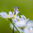 ���� �����, �������, 37 ��� - ��������� 21 �������� 2018 � ������ ���� ����������