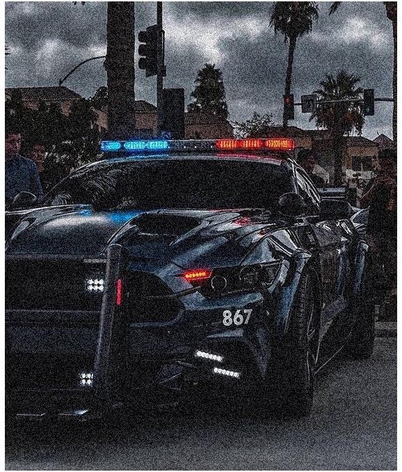 Mustang Police