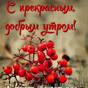 ���� ������, �����, 84 ���� - ��������� 19 ������� 2018 � ������ ���� ����������