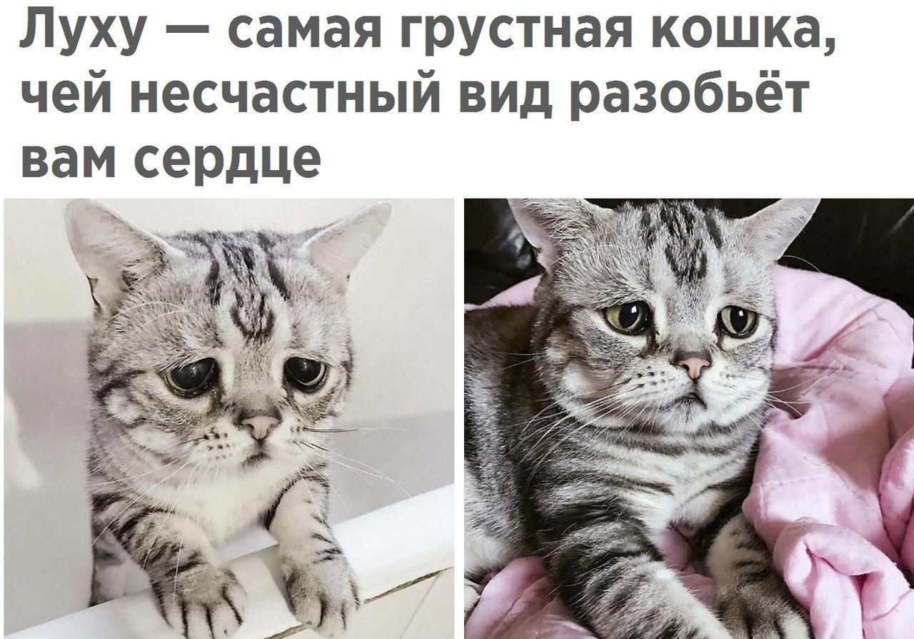  - 27  2018  16:54