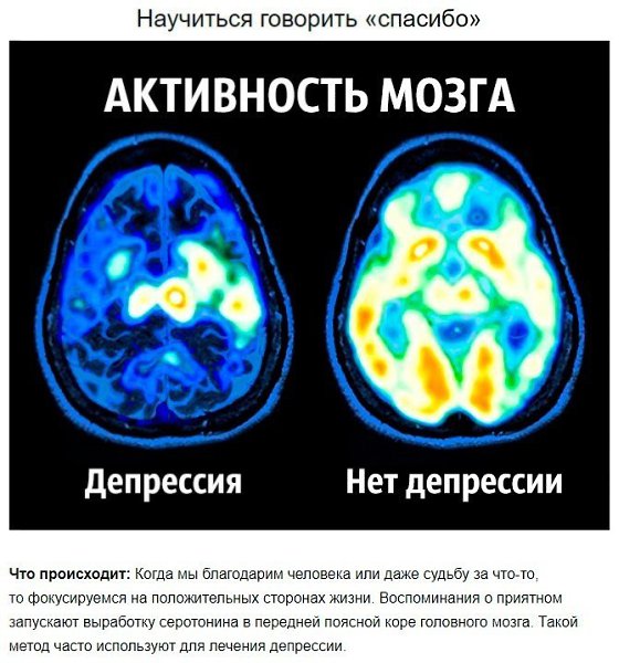 8 советов нейробиолога о том, как стать счастливым раз и навсегда.