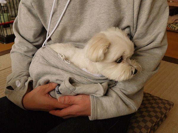 В кенгуруподобном худи вы можете не расставаться со своим котом.Японская компания Unihabitat, ... - 4
