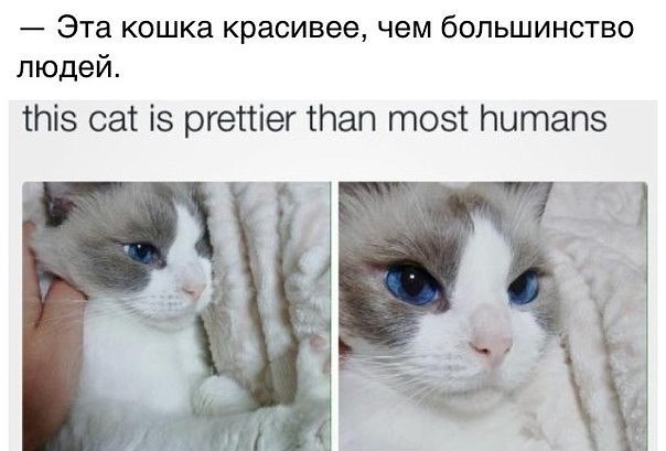 ? ,  ! - 20  2018  16:54