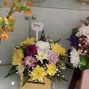 ���� ������, ������ - ��������� 21 ������� 2018 � ������ ���� ����������