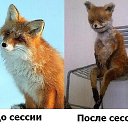 ���� �0, �����-���������, 64 ���� - ��������� 2 ������� 2018 � ������ ���� ����������