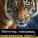 ���� �������, ������, 67 ��� - ��������� 1 ������� 2019 � ������ ���� ����������