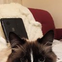 ���� �������, �����-��������� - ��������� 18 ������� 2018 � ������ ���� ����������