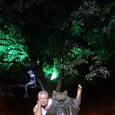 ���� ���������, ��������� - ��������� 27 ������ 2019 � ������ ���� ����������