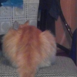 ��, ��������, 59 ���