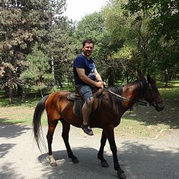 ����, ������, 40 ���