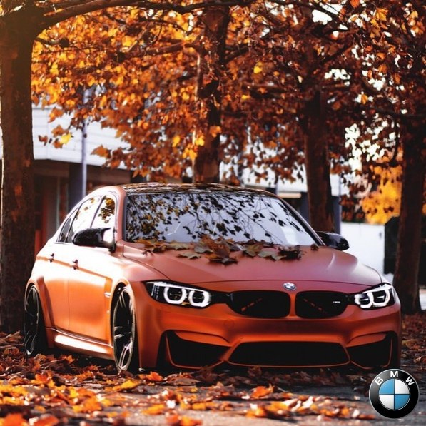 BMW M3 F80 - 4